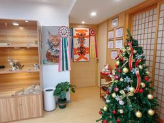 -猫十亿·布偶金渐层·曼基康矮脚猫舍(青年路店)