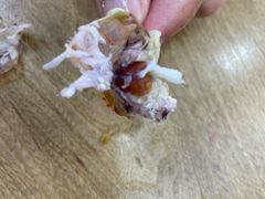 -渔家乐小海鲜(皇姑店)
