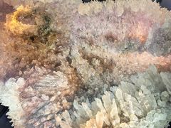 -天津梅江会展中心