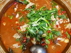 -西昌缸窑鲜鱼府