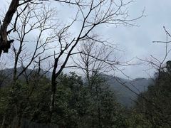 -西岭雪山大飞水景区