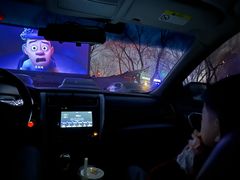 -枫花园汽车电影院(朝阳公园店)