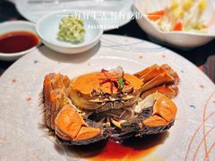 -山葵家·创意料理(宁波来福士店)