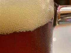 -Paulaner·德国帕拉娜自酿啤酒餐厅(海上世界店)
