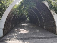 -天津东丽湖风景区