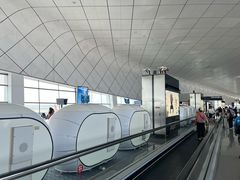 -郑州新郑国际机场-T2航站楼