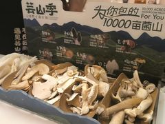 -芸山季·云南山珍菌火锅(南翔印象城MEGA店)