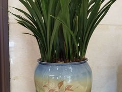 -龙悦湾酒家·八阵鱼生·渔人码头店