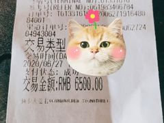 -猫十亿·布偶金渐层·曼基康矮脚猫舍(青年路店)