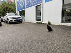 -昆明中致远上汽大众4S店(西山区店)
