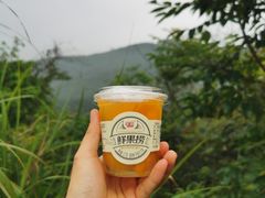 -阳台山森林公园