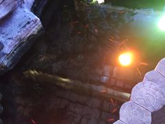 -嘉悦汗蒸时代(曙光路店)