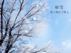 -雾凇岛