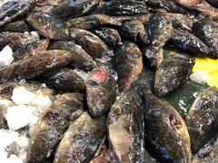 -海峡水产品交易中心(海鲜交易区)