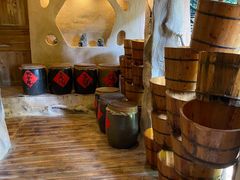 -天门沟九州驿站树上汤泉