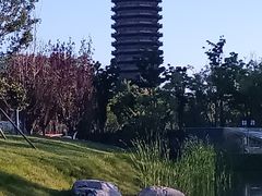-西海子公园