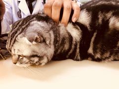 -宠颐生中康贝怡动物医院