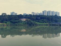 -广西壮族自治区药用植物园