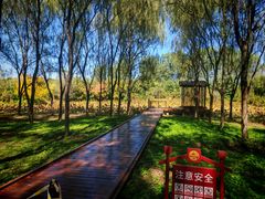 -东郊湿地公园