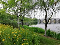 -尚贤河湿地