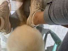 -猫小院猫主题餐厅(南锣旗舰店)