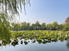 -无锡蠡湖国家湿地公园-蠡园