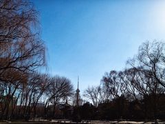 -玲珑塔公园