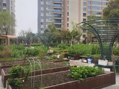 -梧桐人家中国太平国际健康颐养社区