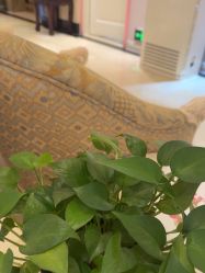 -北京俪婴妇产医院(朝阳大悦城店)