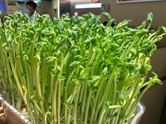 -海底捞火锅(奥森店)