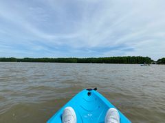 -上海海湾国家森林公园