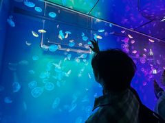 -上海海昌海洋公园-冰山北极馆