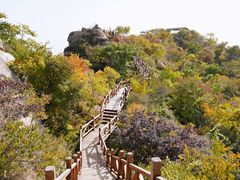 -大岭沟猕猴桃谷风景区