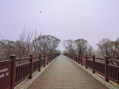 -北京麋鹿生态实验中心