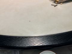 -范家大院(华为店)