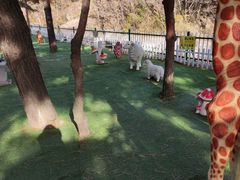 -金龙寺国家森林公园