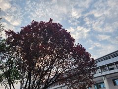 -龙湖星悦荟(颐和店)