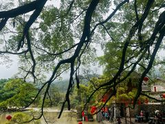 -福建土楼(南靖)景区
