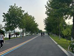 -羊山湖公园