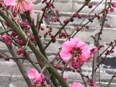 -湘子庙