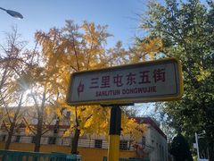 -三里屯东五街银杏大道