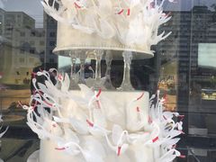 -BLACKSWAN黑天鹅(环球店)