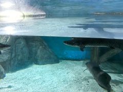 -福州罗源湾海洋世界旅游区