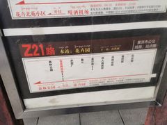-西双版纳原始森林公园