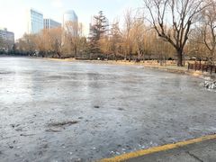 -团结湖公园