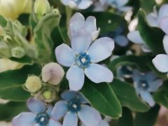 -亭亭鲜花店(中山北路店)