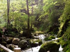 -牛背梁国家森林公园