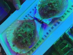 -很久以前羊肉串(清河店)
