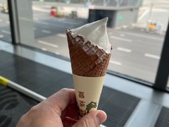 芝芝脆筒-喜茶(大兴国际机场店)