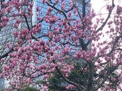 -静安公园(静安寺街道)
